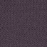Nova Grape