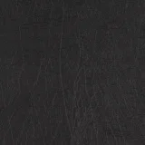 Taurus Black