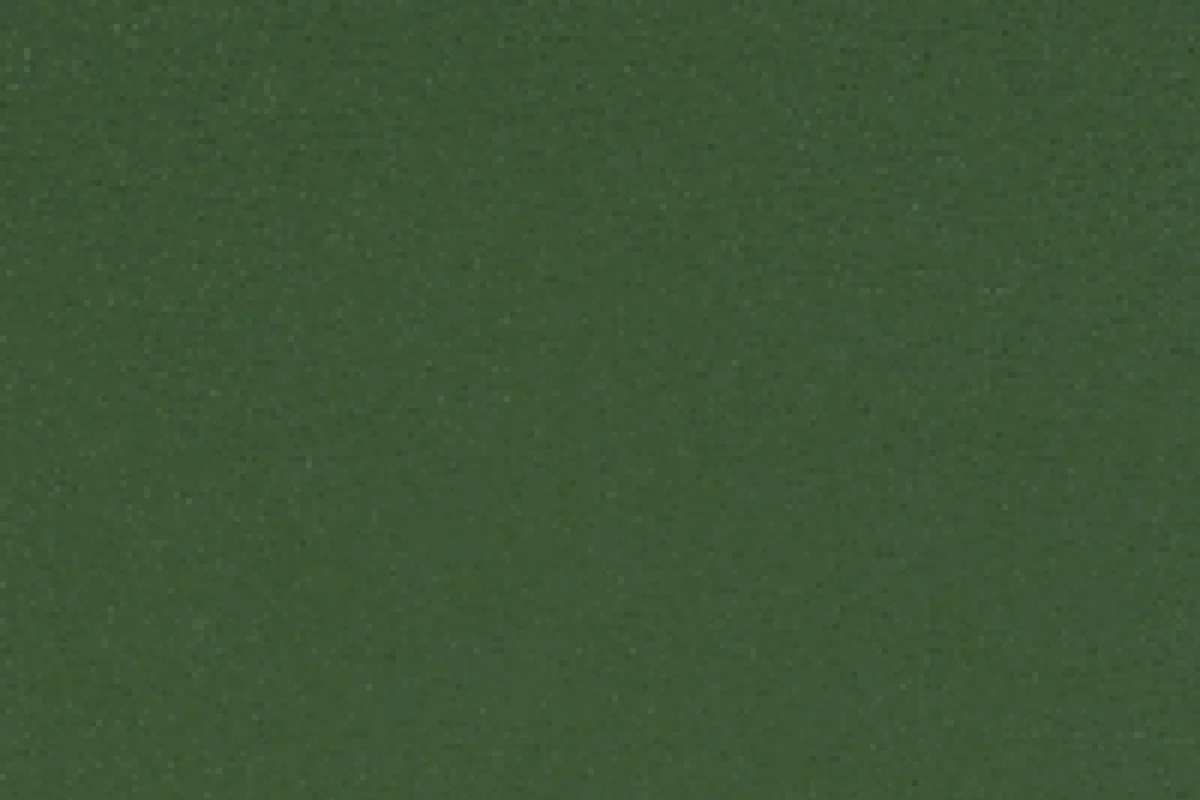 Paint Pot Grass Flat