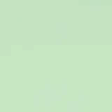 Aries Mint Green