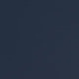 Aries Navy