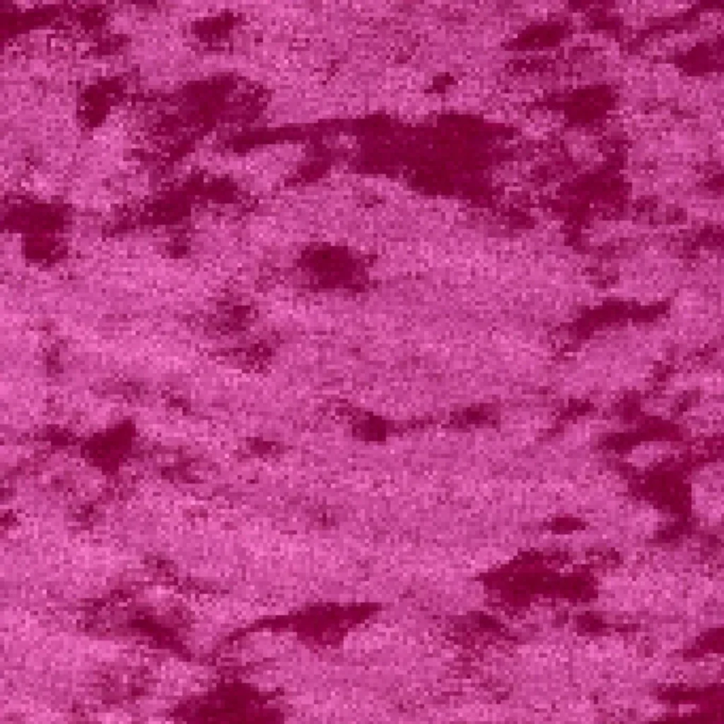 Carmina Fuschia