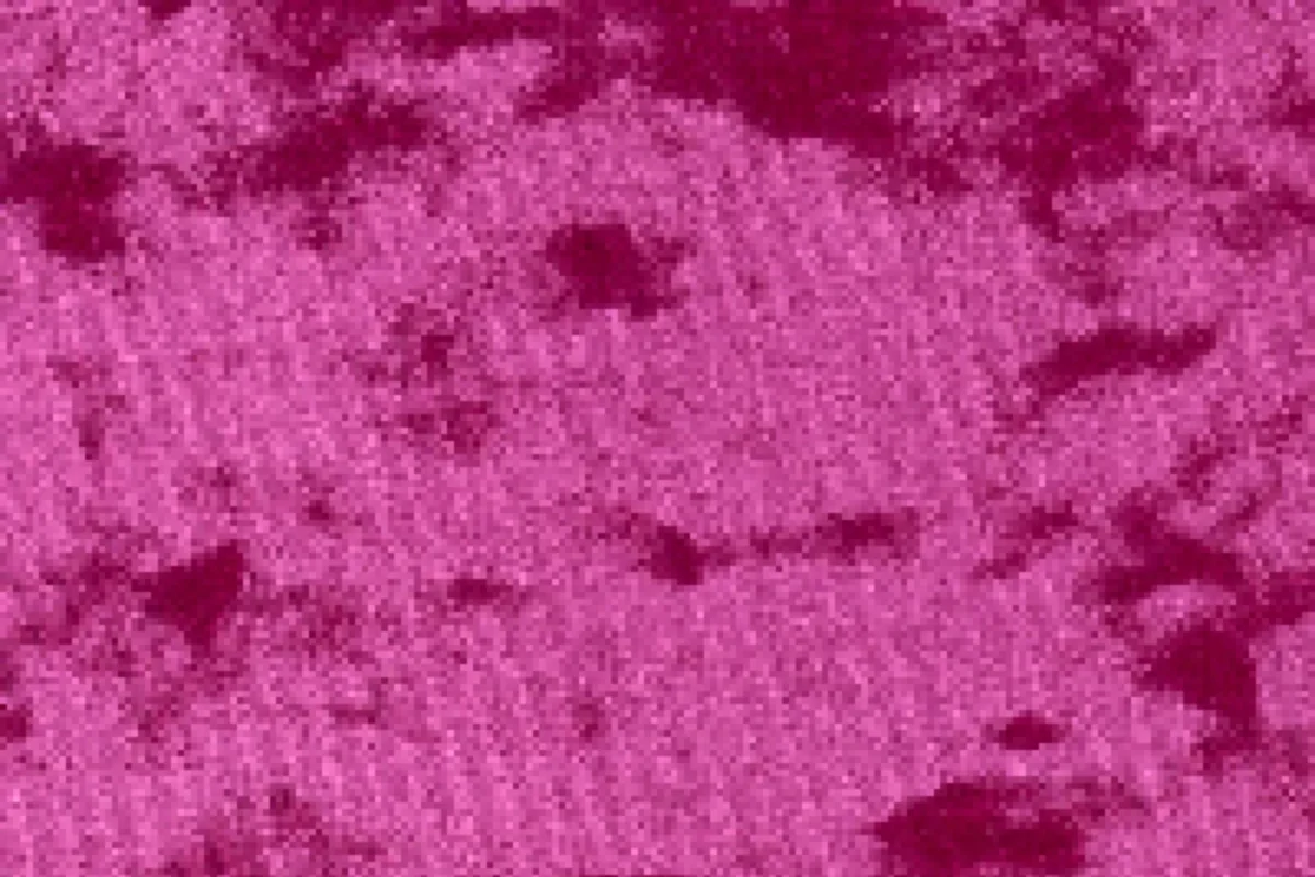 Carmina Fuschia Flat