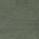 Dales Seagrass