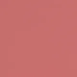Paint Pot Raspberry