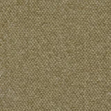 Pearl Olive