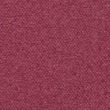 Pearl Plum
