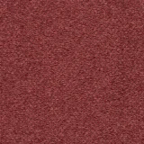 Pearl Tawny