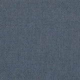 Zephyr Bluebell