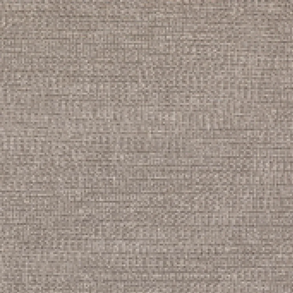 Zephyr Oyster