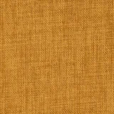 Linetta  Mustard