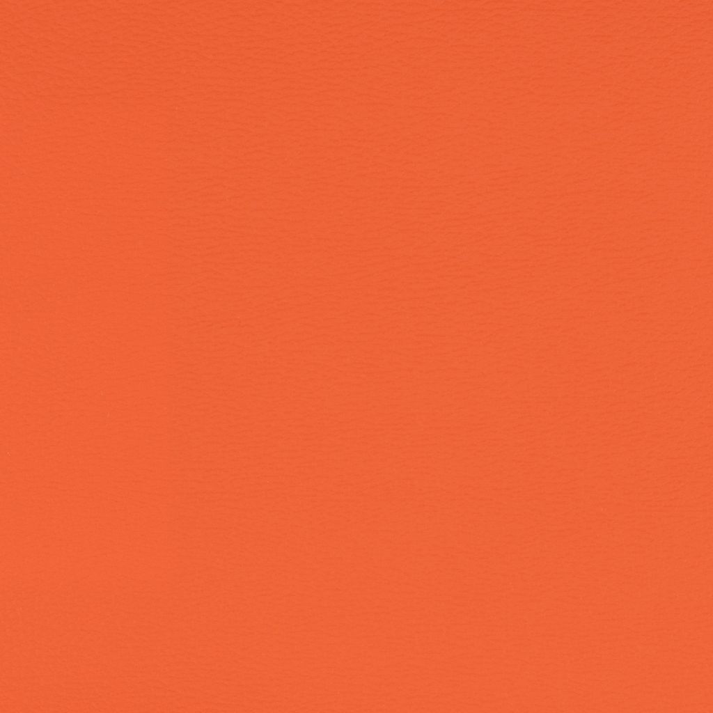 Carrot flat image