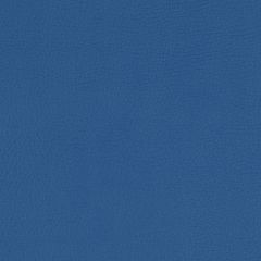 Agua_Fabrics-1583_F_PaintPot_Blue150mm_x_150mm_300dpi.jpg