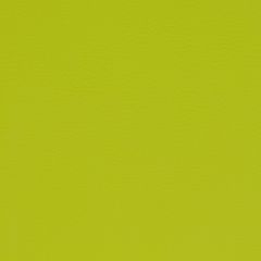 Agua_Fabrics-1591_F_PaintPot_Lime150mm_x_150mm_300dpi.jpg