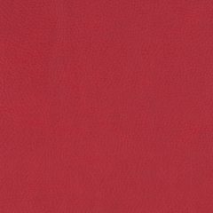 Agua_Fabrics-1597_F_Paintpot_Scarlet150mm_x_150mm_300dpi.jpg