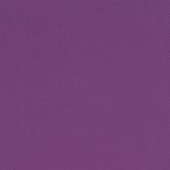 Stol Purple