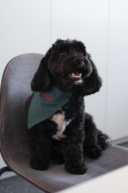 Northern Gas & Power’s New Wellness - Focused HQ