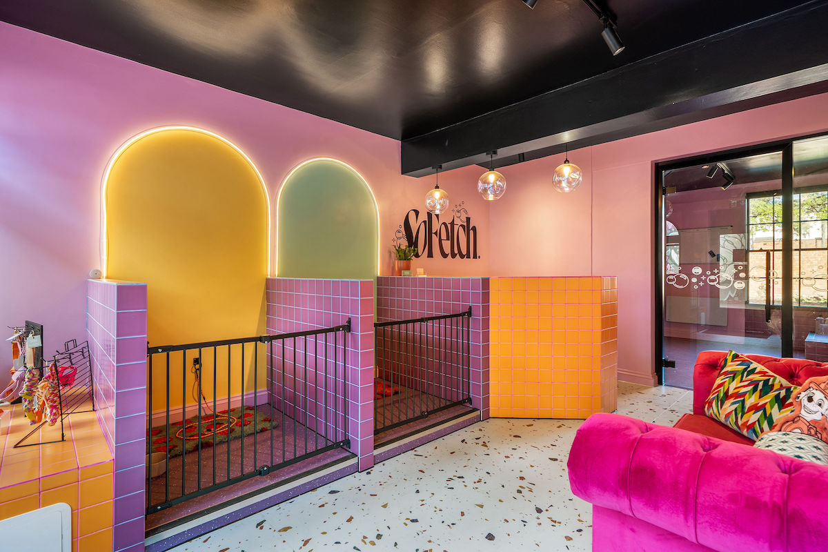 So Fetch dog grooming by Hastie Studios