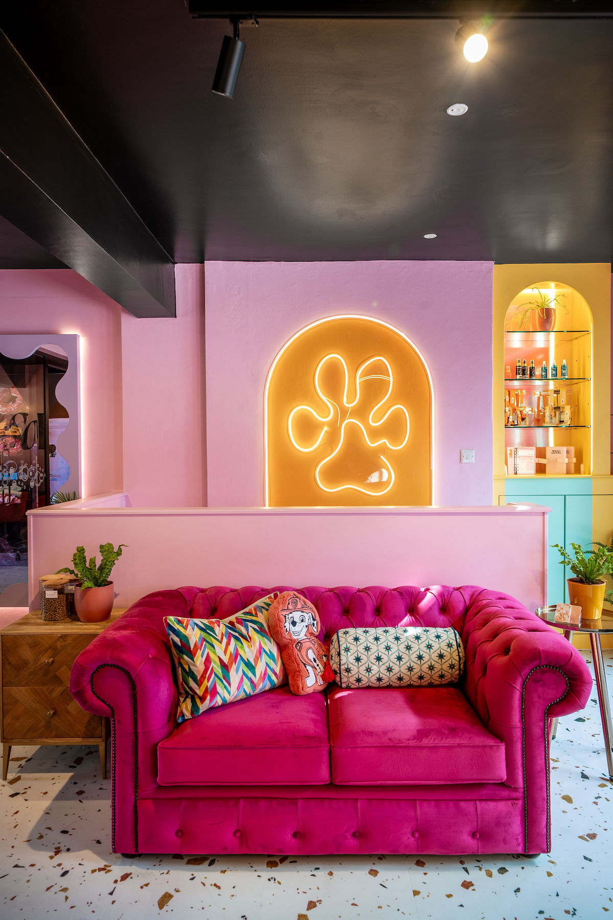 So Fetch dog grooming by Hastie Studios