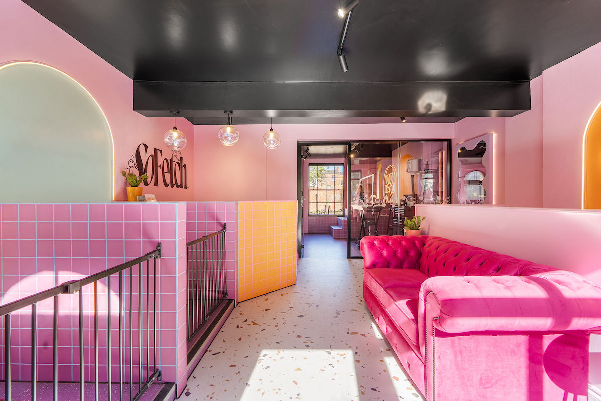 So Fetch dog grooming by Hastie Studios
