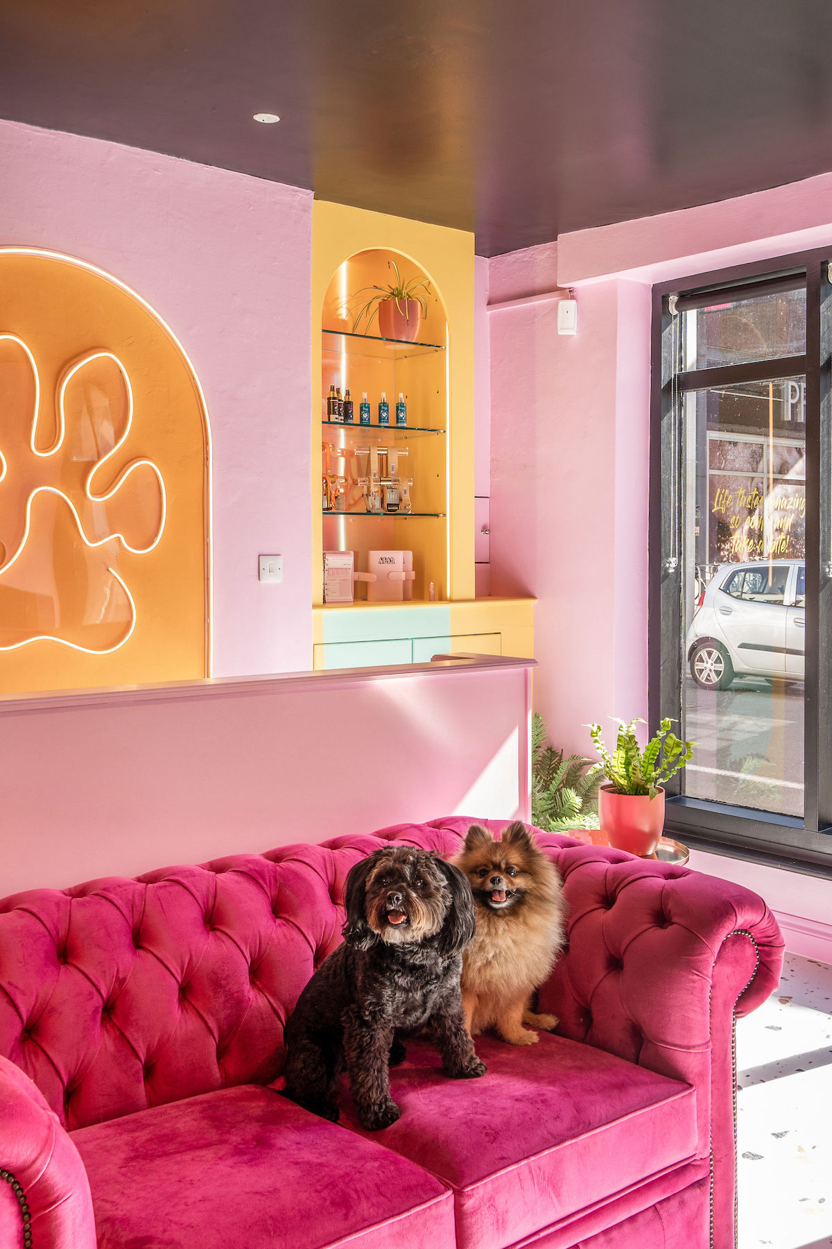 So Fetch dog grooming by Hastie Studios