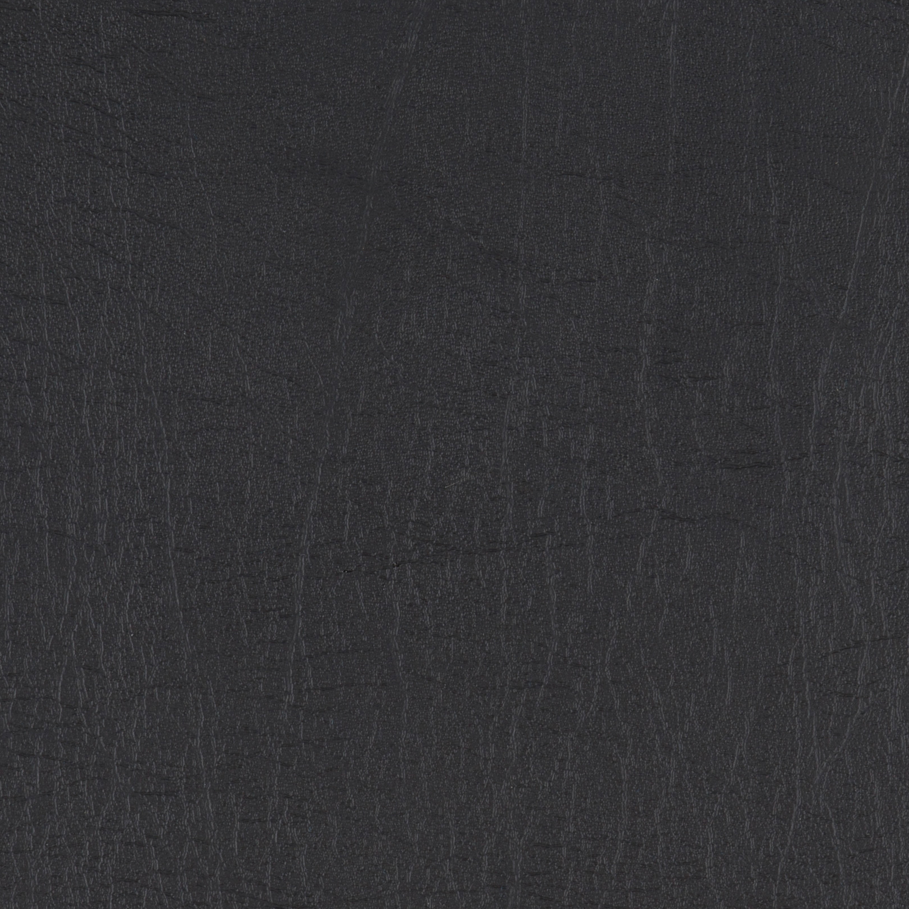 The 7 Collection Black