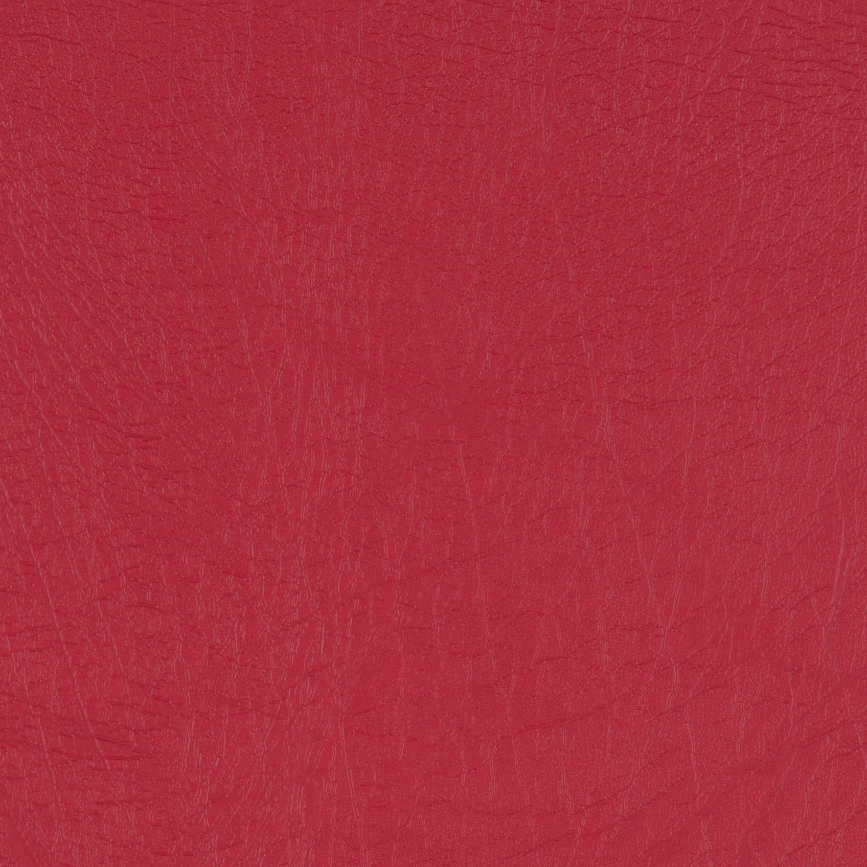 The 7 Collection Carmine