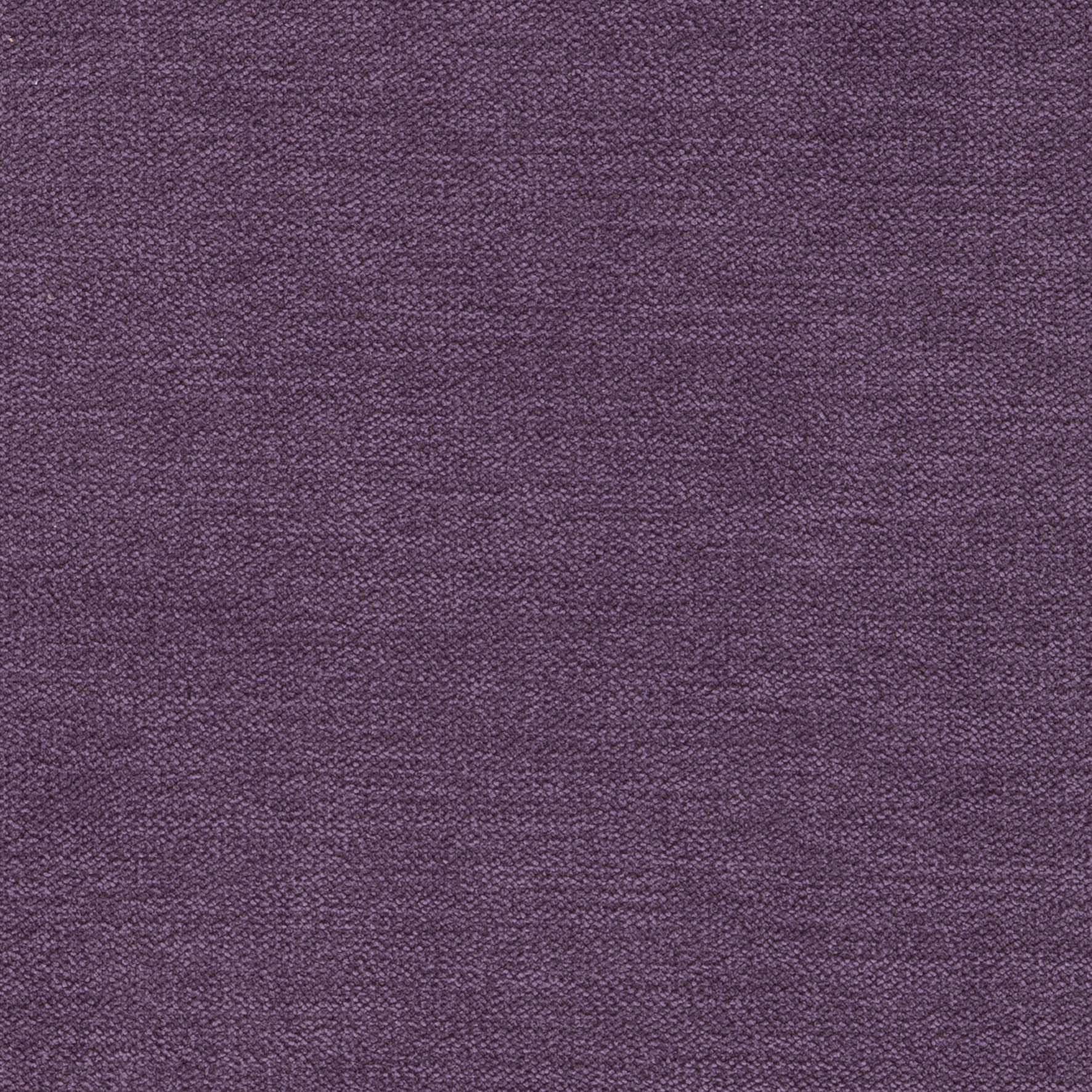 Sark Purple