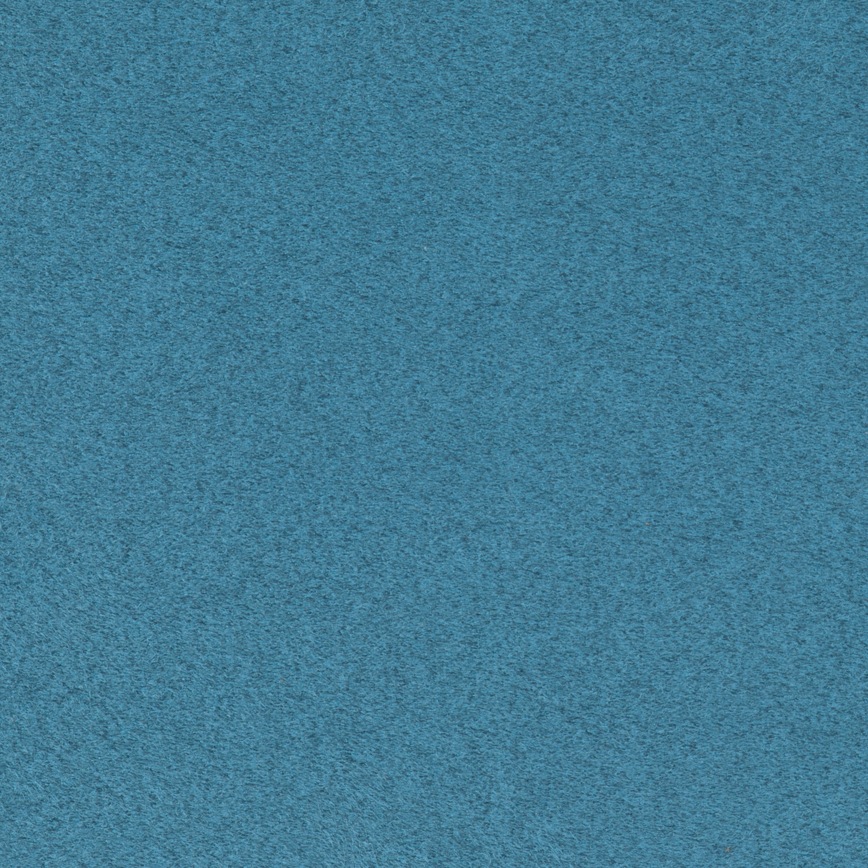 Cashmir Wedgwood Flat