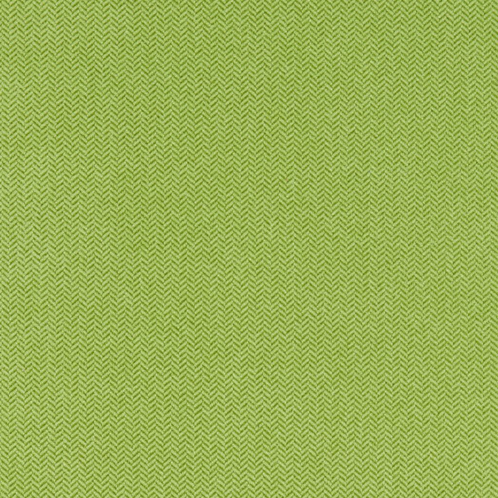 Lime flat image