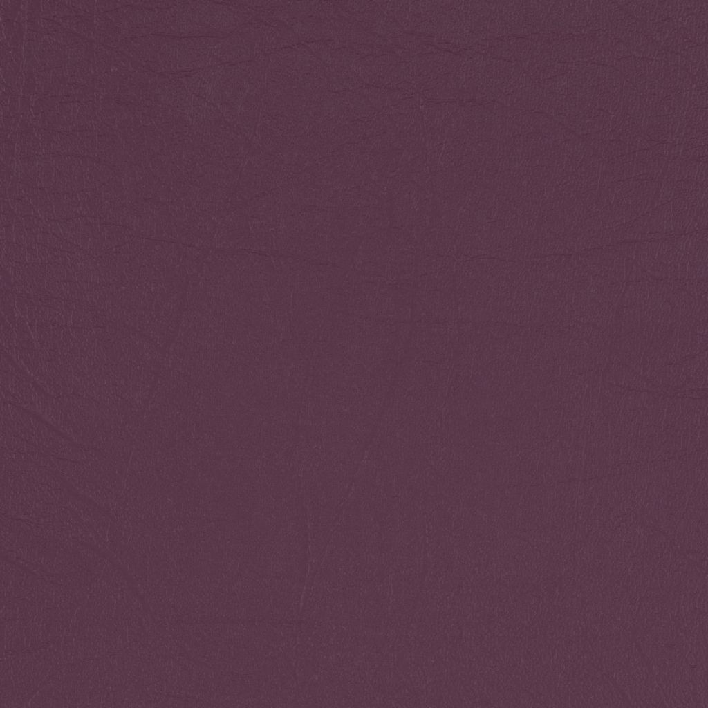 Aubergine