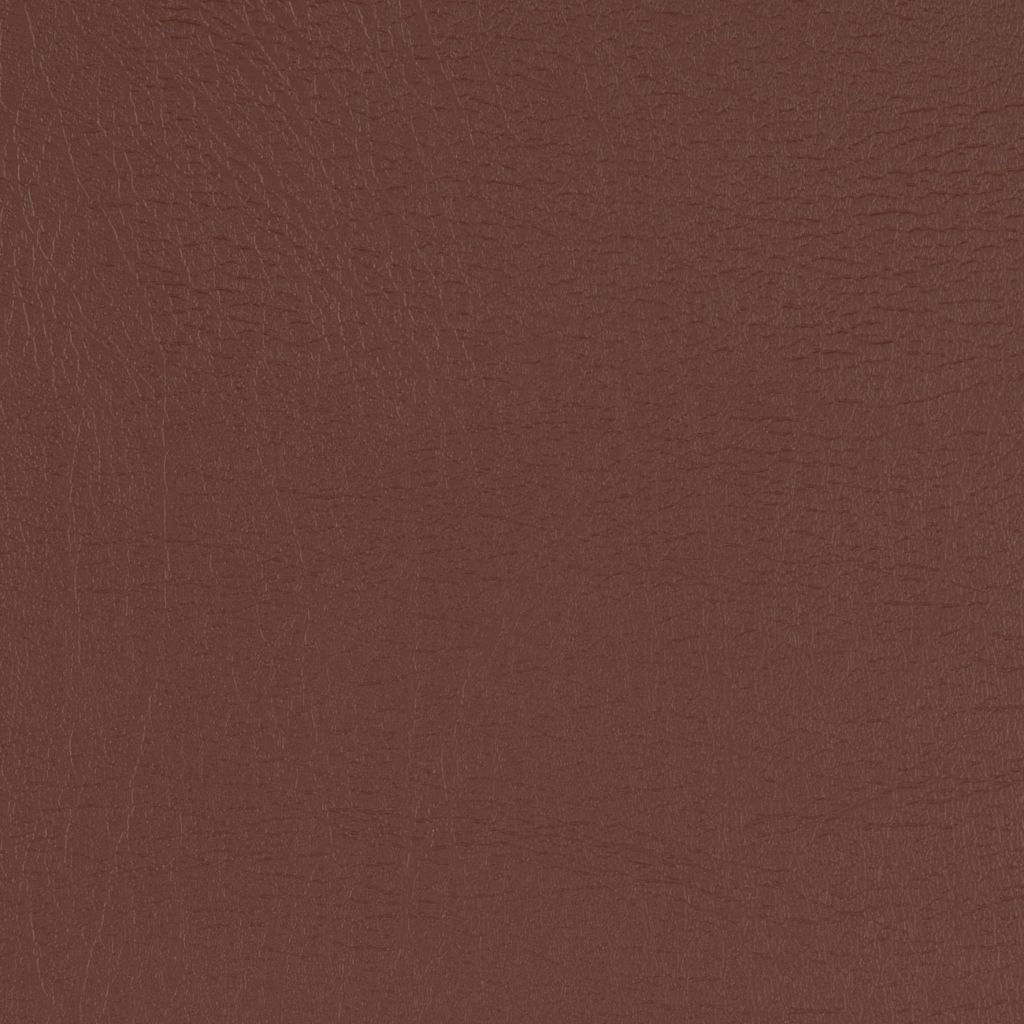 Mocha