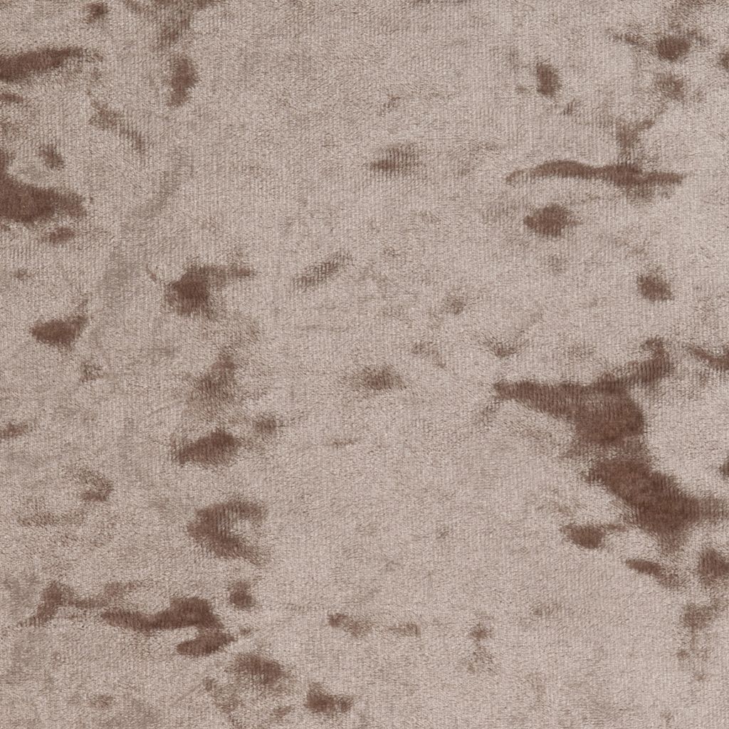 Truffle