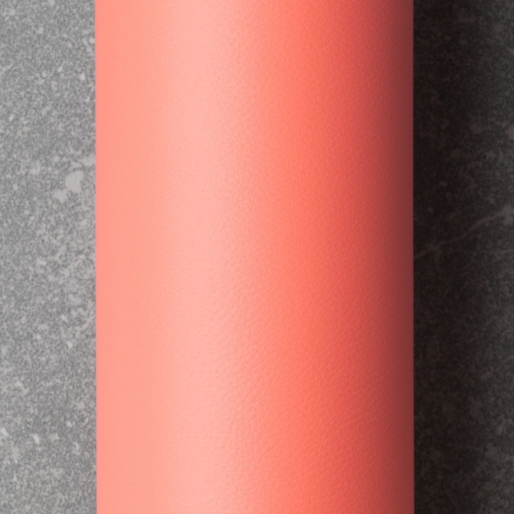 Salmon roll image