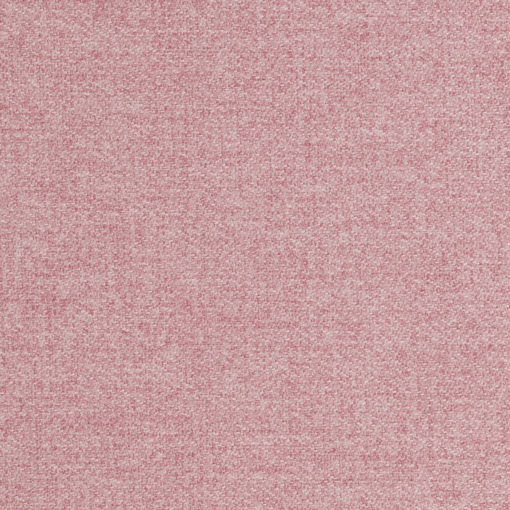 Buro Orchid