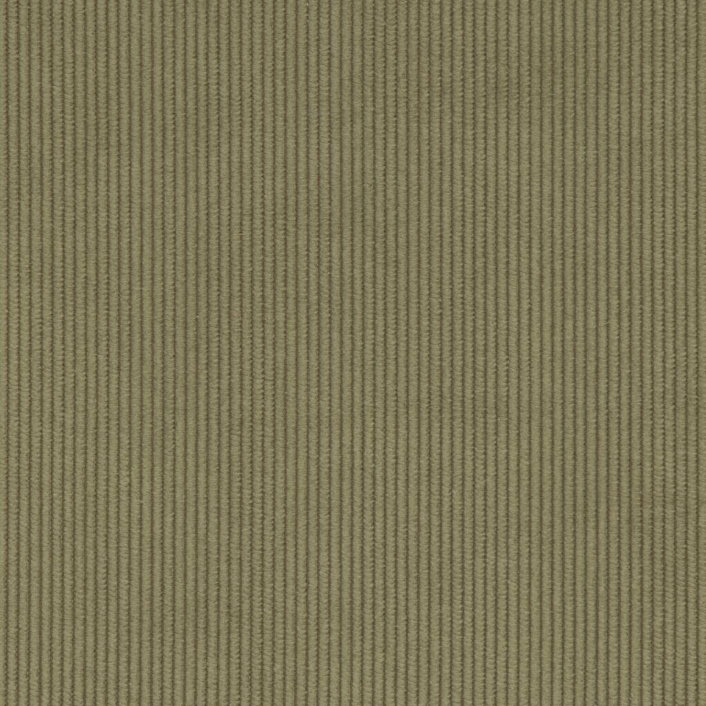 Cord Olive
