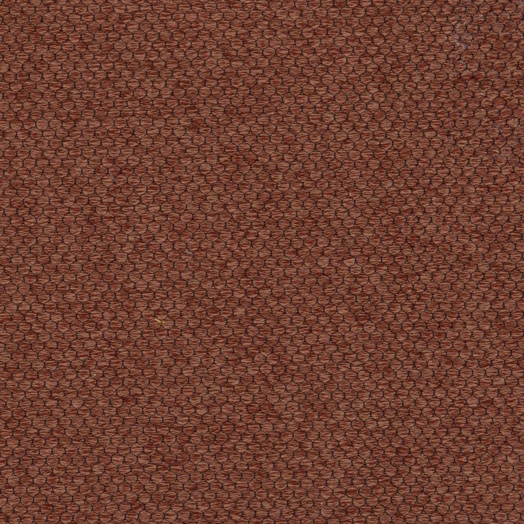 Pearl Cinnamon
