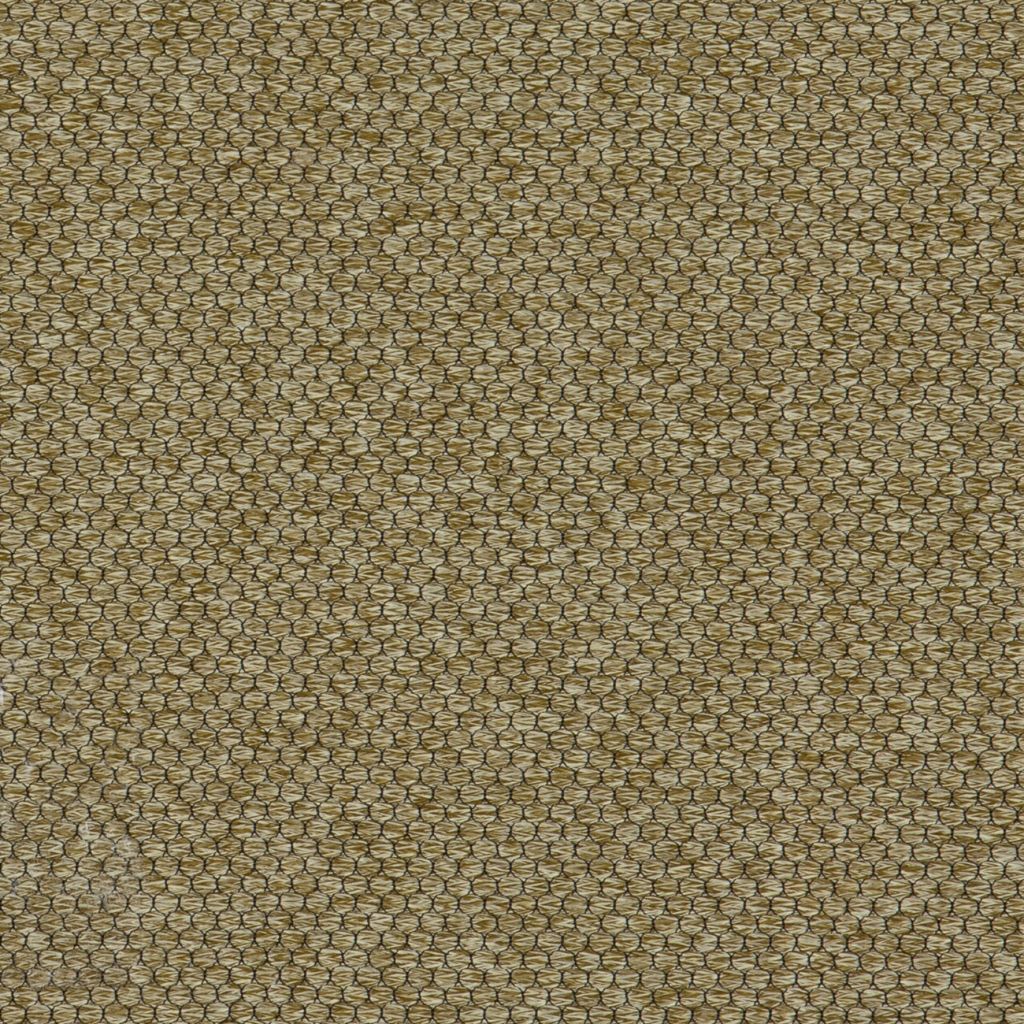 Pearl Olive