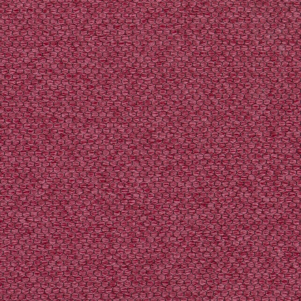 Pearl Plum