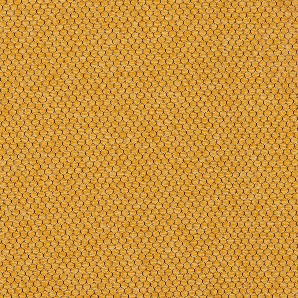 Pearl Sunflower