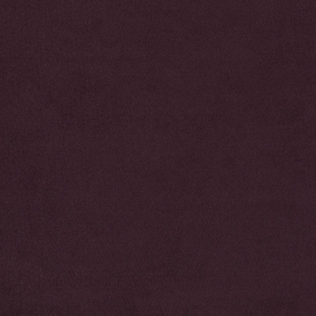 Primeira Aubergine