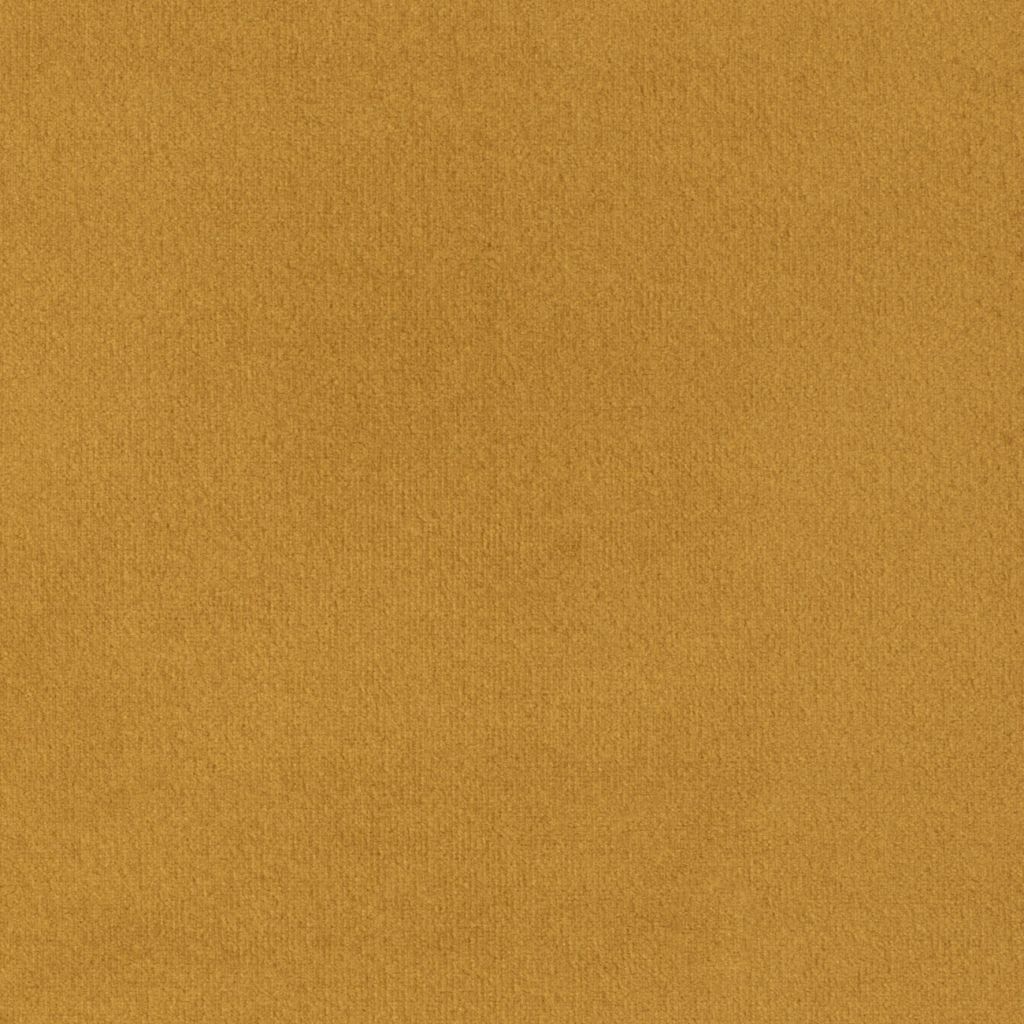 Primeira Tumeric