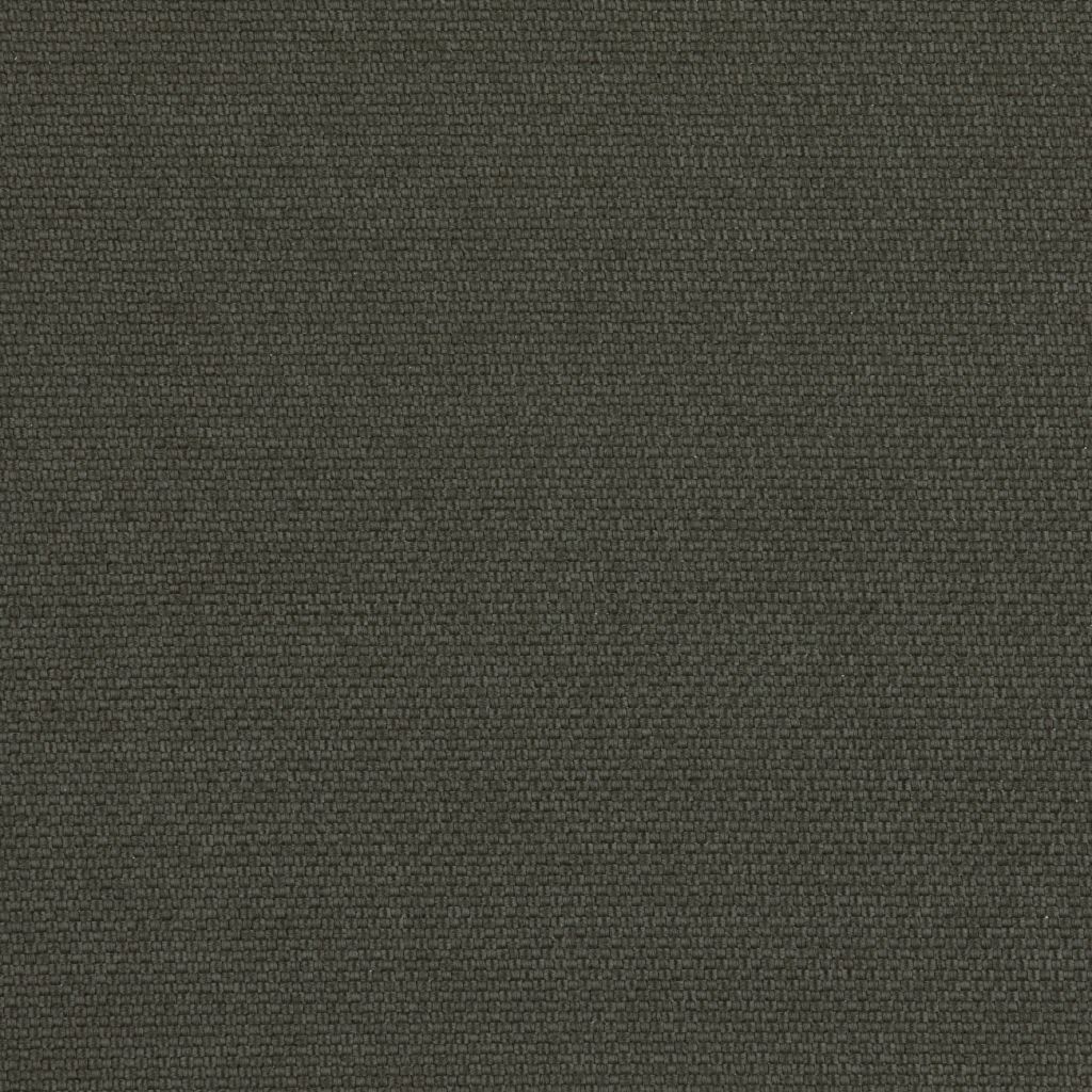 Zephyr Olive