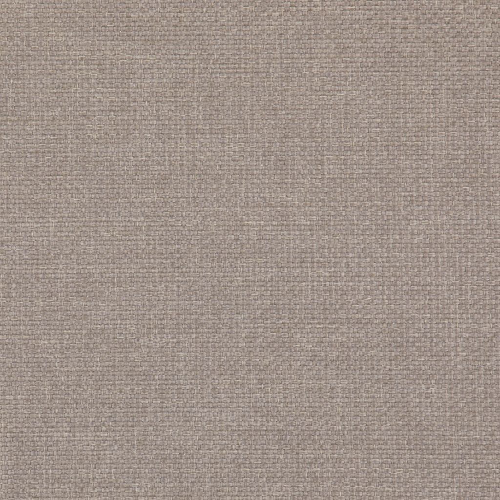 Zephyr Oyster