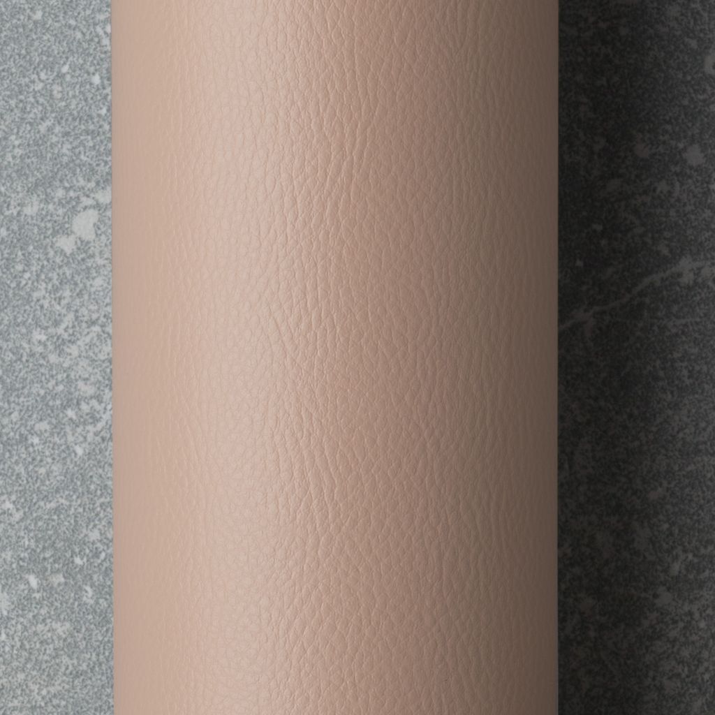 Mushroom roll image