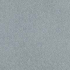 Agua_Fabrics_F_Lunar_Aquarius_Pebble.jpg