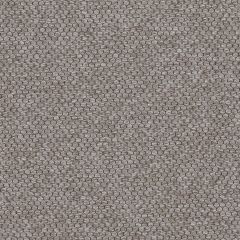 Agua_Fabrics_F_Pearl_Flint.jpg