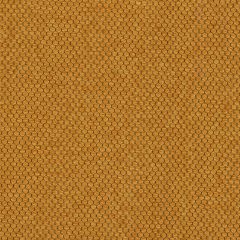 Agua_Fabrics_F_Pearl_Gold.jpg