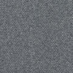 Agua_Fabrics_F_Pearl_Silver.jpg
