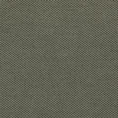 Agua_Fabrics_F_Zephyr_Bracken_150x150mm_300dpi.jpg